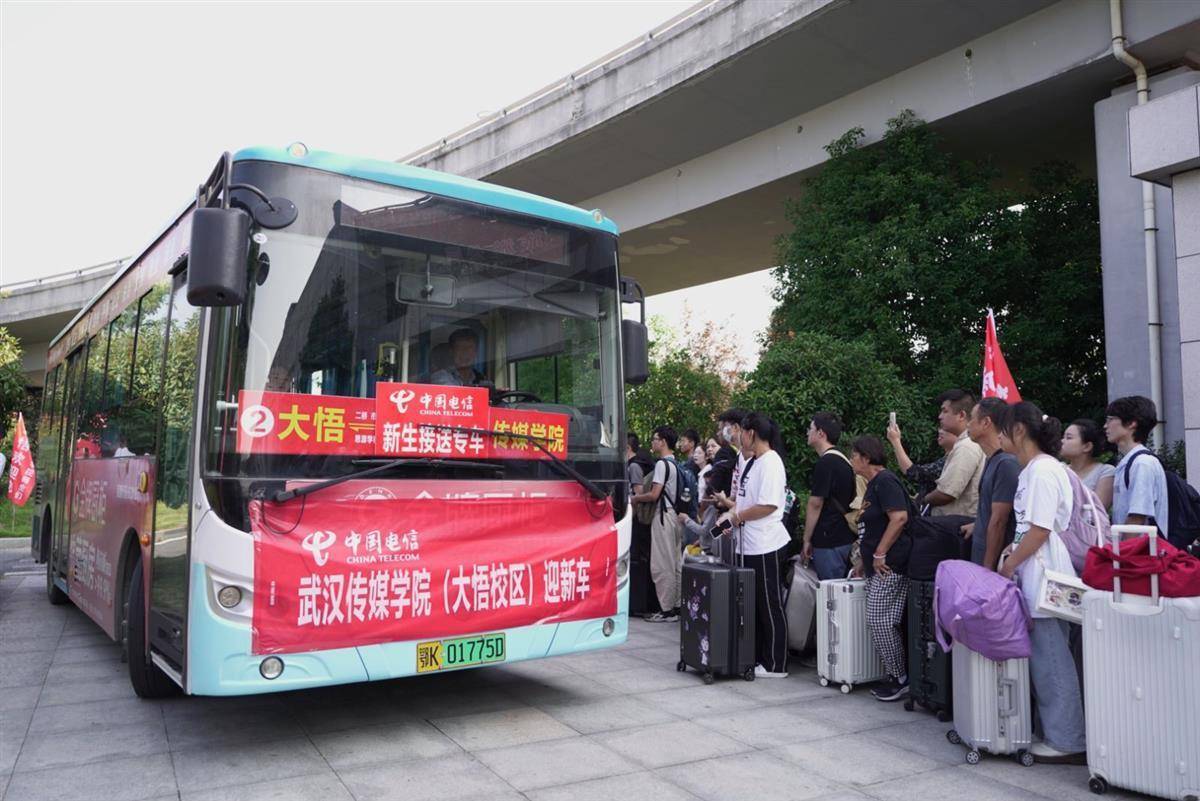 通博tb多元化